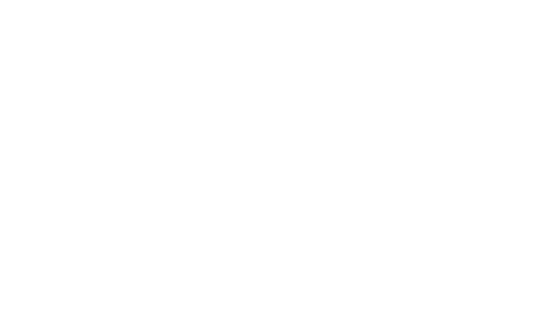 USA-Today-logo The Village Voice